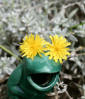 Avatar von Tanjuscha